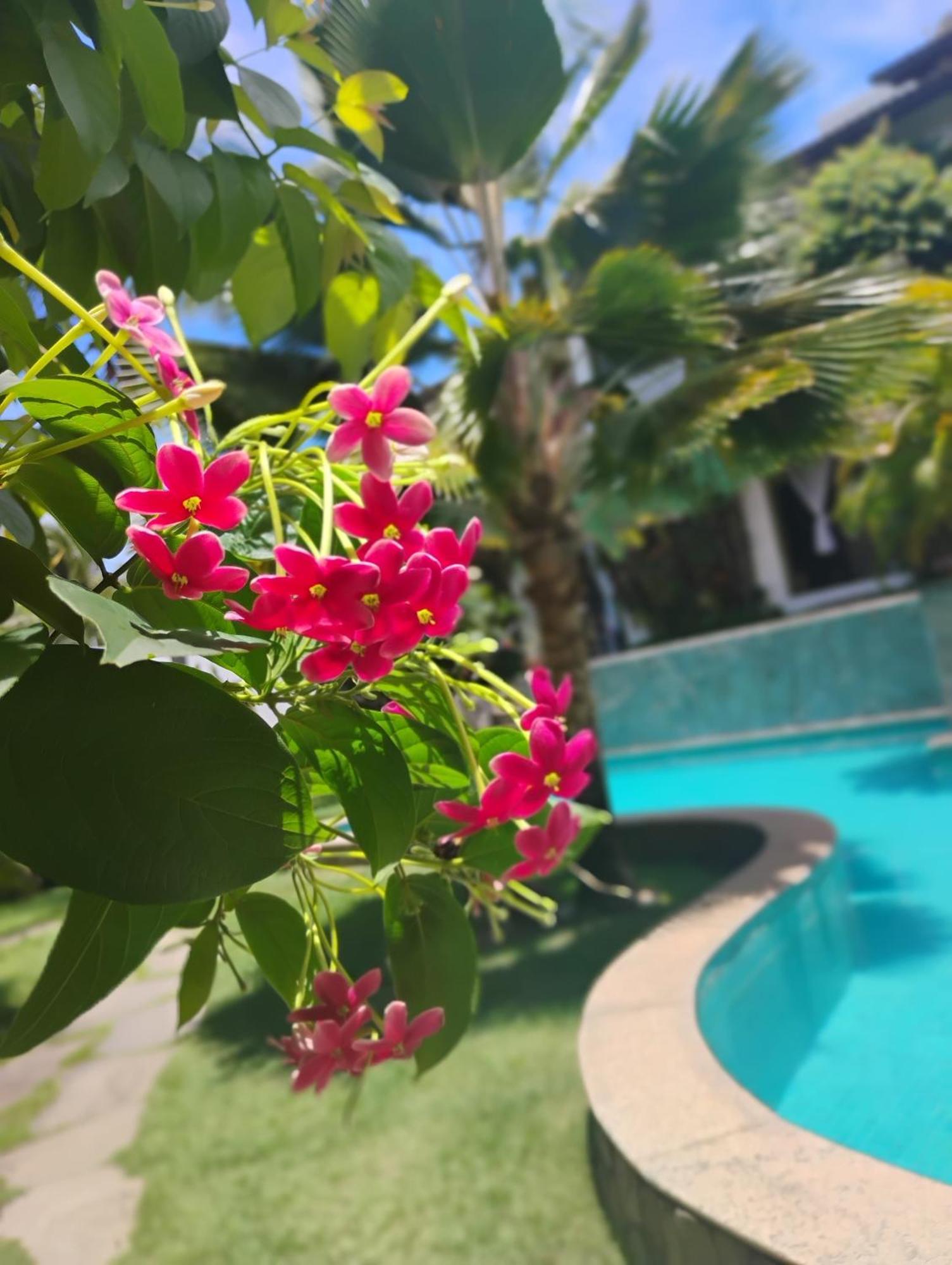 Flor Da Mata Aparthotel Praia de Pipa Kültér fotó